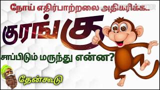 குரங்கு சாப்பிடும் மருந்து | 30 விநாடி | தேன்கூடு | Monkey Eating Drug | 30 seconds | THENKOODU