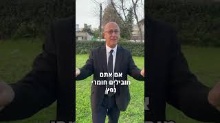 רישיון נשק