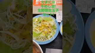 松屋牛めし並の生野菜生玉子セット!