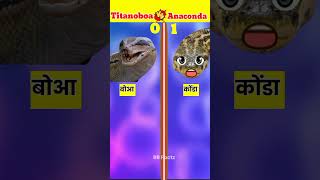 Titanoboa v/s Anaconda || full comparison video || #shorts #animals #ytshorts