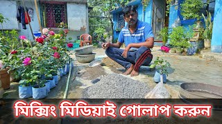 মিক্সিং মিডিয়াই গোলাপ করুন