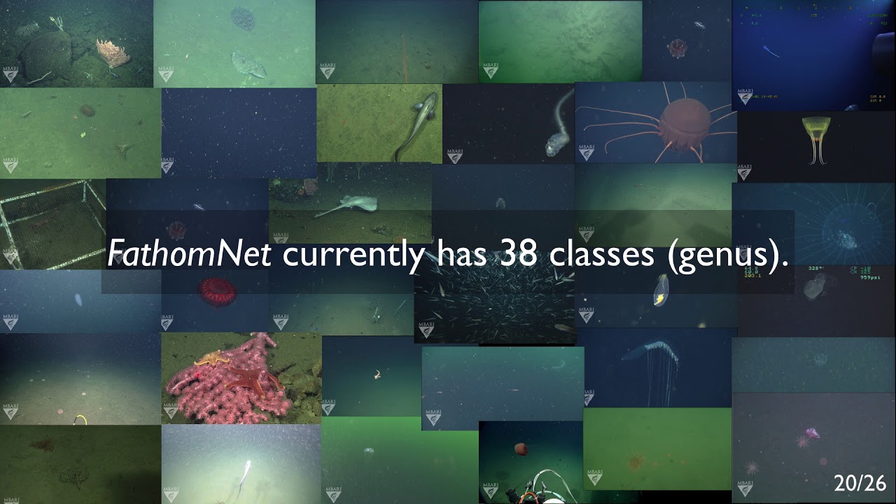 Fathomnet Demo Youtube