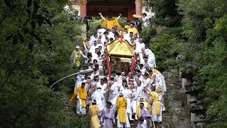 2024.5.12(日) 和歌祭(神輿おろし～渡御行列 *途中まで) 和歌山市