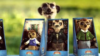 Compare the meerkat toys