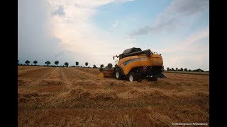 Leeste: Die Ernte der Wintergerste läuft an