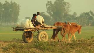 গ্রাম বাংলার দৃশ্য