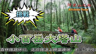 登山樂：挑戰阿里山小百岳-大塔山/塔山步道(2663公尺)