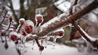 Neve e gelo no inverno