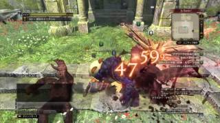 DDON エピソード２「メイリーフと小鳥の報せ」 字幕付き