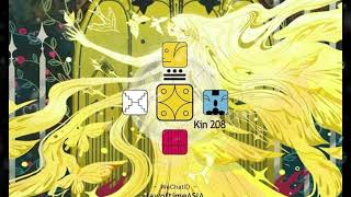 Kin 208 宇宙黃星星日-導讀