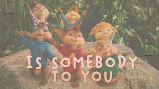 Somebody To You  -  Chipmunks \u0026 Chipettes