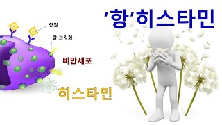 60. 맥락없는 약이야기 1편 - 항히스타민 (페니라민)