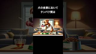 犬の「食事管理の」雑学　#shorts #犬 #雑学 #犬の雑学