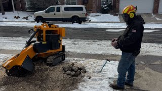 Hoffman Stump Grinding running the Predator 38Rx