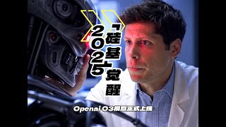 「硅基」觉醒 2025