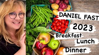 * DANIEL FAST - Extra Crispy Patti Melt -Breakfast- Lunch & Dinner*