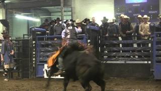 Shane Peters 80.5 on Vold's 955 Shady Corners. Rimbey, AB '13