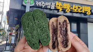 제주맛집 제주 쑥찐빵/보리빵 전국 할미입맛 모여라🫠😋 제주도민 추천👍