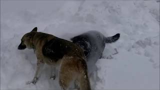 BUG OUT MONTANA discusses: Tips for Cold Weather Survival