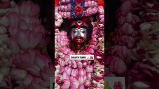 আজকের দর্শন 🌺🌷২০২৪ জয় মাঁ তারা‌ | জয় বশিষ্ঠদেব | জয় গুরু বামদেব 🙏 #tarapithshorts #jaimatara