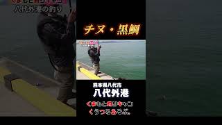 【チヌ・黒鯛釣り05】八代外港のウキ釣り（熊本県八代市） #熊本釣り #八代 #チヌ釣り