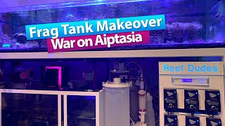 Frag Tank Makeover - War on Aiptasia