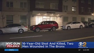 Teen Shot And Killed In The Bronx