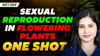 Sexual Reproduction in Flowering Plants ONE SHOT | NEET 2025 Biology | Tamsa Ma'am | Rankplus