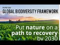 Global Biodiversity Framework | UPSC Prelims 2024