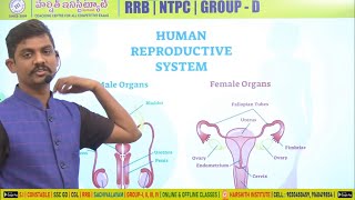 RRB NTPC TELUGU | SI | CONSTABLE | Human Reproductive System Of Biology Class