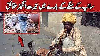 Saanp ka Manka | The Snake Stone | Real Story behind the Nagmani or Cobra Pearl of Snake Charmers