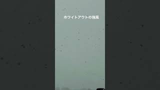 ホワイトアウトの恐怖【危険】道が全くわかりません。