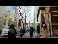 【4k】tokyo tour tokyo station ginza nihonbashi yurakucho 東京駅 日本橋 有楽町 銀座 cycling🚴‍♂️