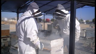 See What the Buzz is About: North Kern State Prison launches unique rehabilitation program