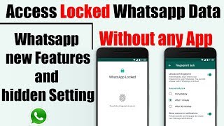 Whatsapp hidden setting access data without any app