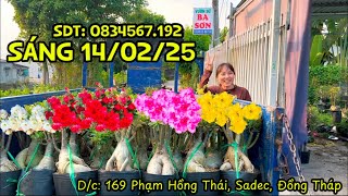 (SÁNG 14/02/25) SỨ GHÉP ĐẸP LH 08.34567.192