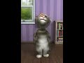 talking tom saab peksa