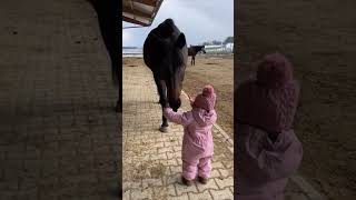 Tender Moment between a Little Girl and a Horse