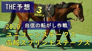 競馬　THE予想　2020ユニコーンステークス　函館スプリントステークス