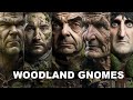 BRITISH COMEDIANS as GNOMES / AI generated ai reimagine ai art ai video