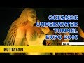 Niel Entertainment Oceanos Underwater Tunnel Expo 2019 - Pala | Dream Media HD