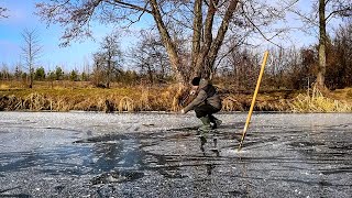 Знайшов рибу в закоряженому Жолобі під Звисаючою над водою Вільхой