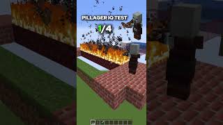 Minecraft PILLAGER IQ TEST #shorts