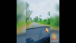 Road 🛣️ Trip I Shimoga to Jog falls I Forest Area I Jog falls