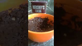 Keto Chocolate Brownie Mug Cake Recipe