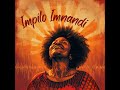 Impilo imnandi