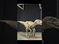 velociraptor test for jurassic park 1993