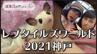 【レプタイルズ】レプタイルズワールド2021神戸♪