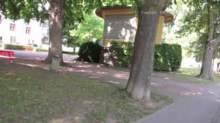 Walk along Rheinallee in Boppard Germany - Rhine Gorge