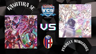 YCS Bologna Round 10: Kashtira Snake-Eye Azamina vs Purrely Mimighouls! Gatti vs Serpenti.